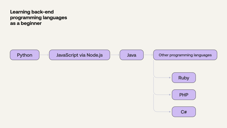 Diagram of beginner back-end programming languages: Python, JavaScript via Node.js, Java, Ruby, PHP, and C#.